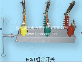 HGW1組合隔離開(kāi)關(guān)